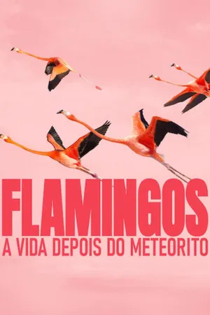 Flamingos: A Vida Depois do Meteorito